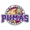 St. Joseph's (IN) logo