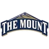 MOUNT