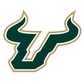 University of South Florida