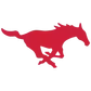 Southern Methodist University