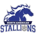 North American University