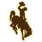 Wyoming logo