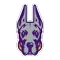 University at Albany logo