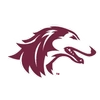 Southern Illinois University