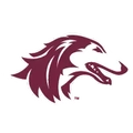 Southern Illinois University