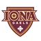 Iona logo