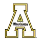 AJ Swann
