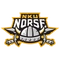 Texas Tech logo