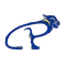 Pitt-Bradford logo