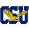 Coppin State logo