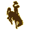 WYO logo