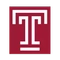 TEM logo