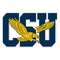 Coppin State logo