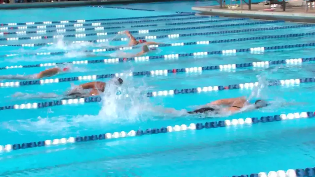Fau Pool Swimming & Diving - Florida Atlantic University Athletics