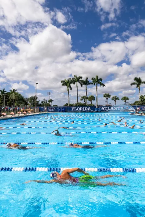Fau Pool Swimming & Diving - Florida Atlantic University Athletics