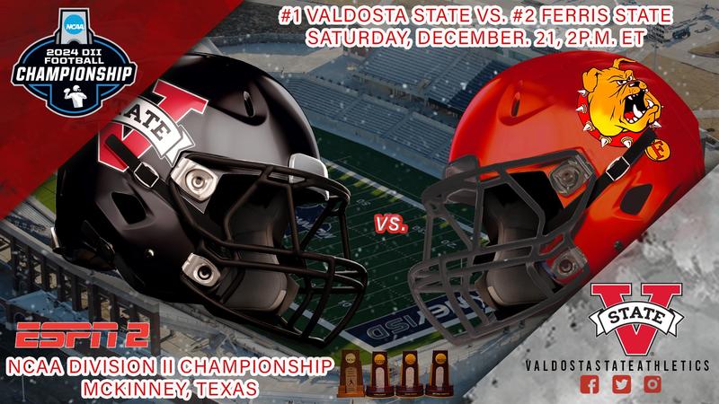 division 2 football helmets Vicis Zero2 The 2026 Vicis Zero2 Elite Adult Helmet combines cutting House Divided Replica Football Helmets