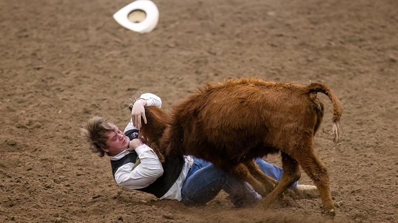 Team Csi Rodeo CSI Rodeo off to a great start for the 2025-26 season - College of ...