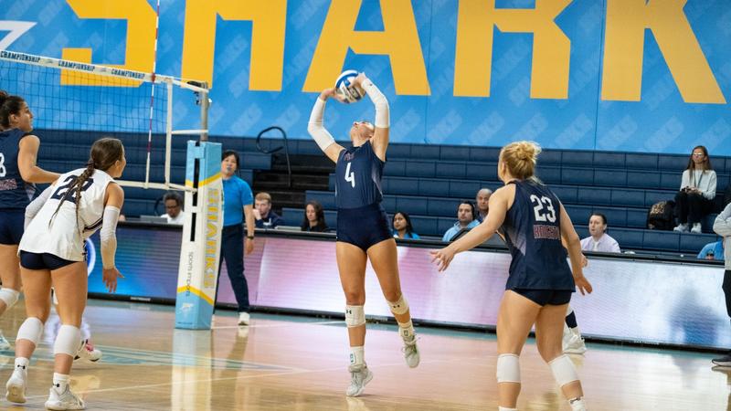 Kelly Roche Fdu FDU Drops Heartbreaker in NEC Semifinal vs Saint Francis - FDU Knights ...