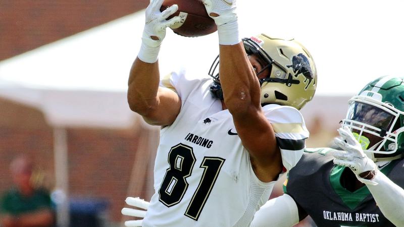 Harding Football Remains at No. 2 in AFCA Poll, Leads D2 Rushing ...