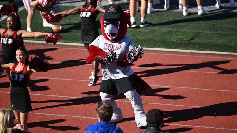 Iup Spring IUP Student-Athletes Shine in Classroom for the 2025 Spring Semester ...
