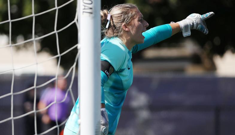 Alex Linfield 'Cats cage the Boxers in 3-0 win on the road - Linfield University ...