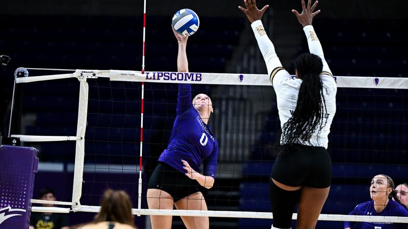 Volleyball Edged Out by Vanderbilt in Four Sets - Lipscomb University