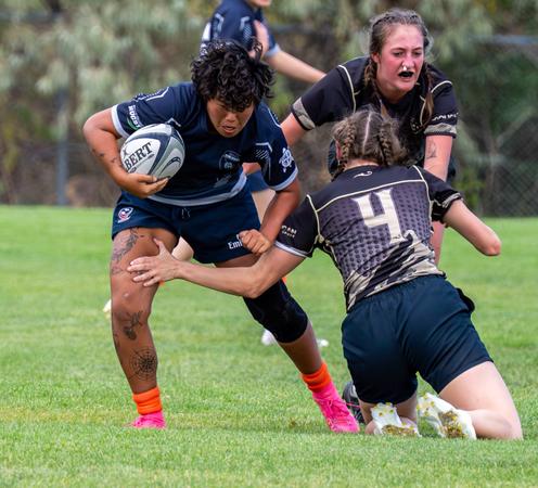 Orediggers Power Past Division I CU Boulder in First Home Game, 52–7 ...