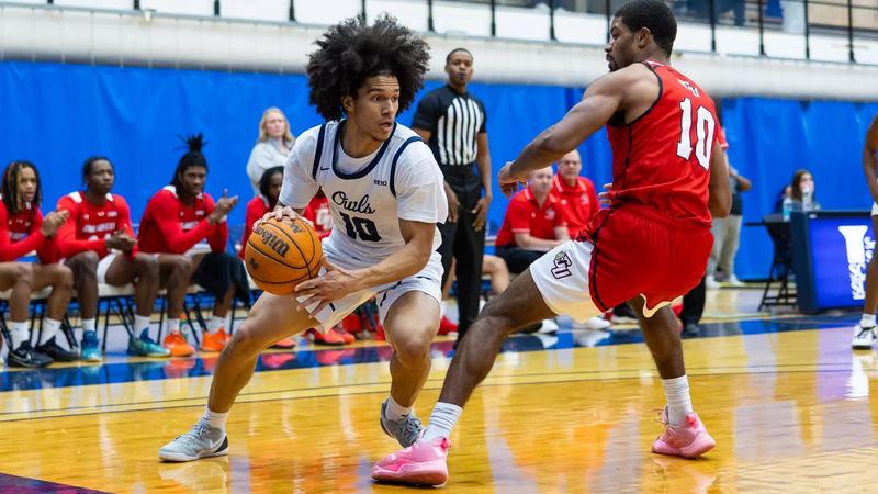 SCSU Men's Basketball Drops Matchup Against Saint Anselm, 86-78 ...