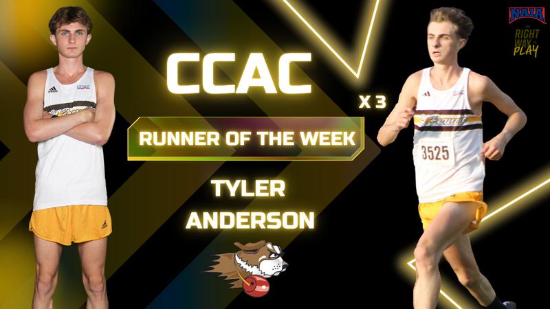 Tyson Routley Anderson Earns Men's Cross Country Weekly Honor For Third Time ...