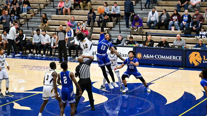 lionathletics.com
