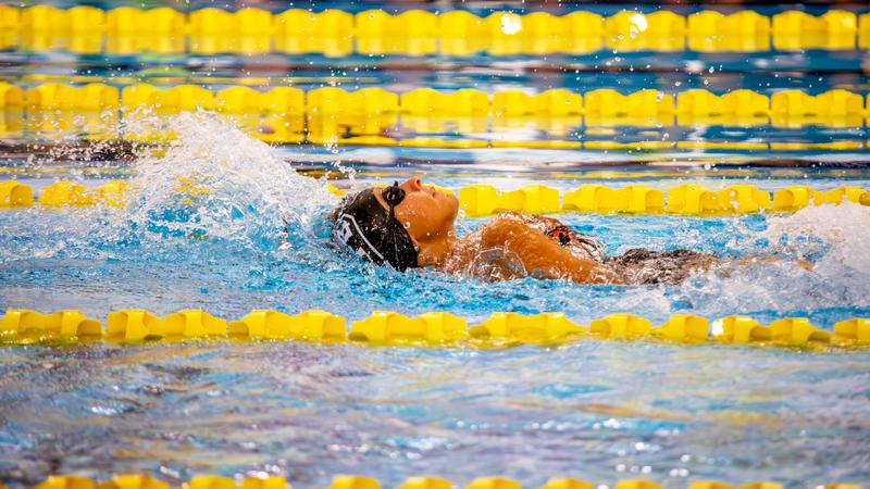 Utpb Pool Beyond the Pool Deck - UTPB Athletics