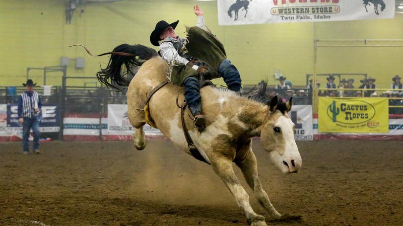 Team Csi Rodeo CSI Men's Rodeo continues to dominate - College of Southern Idaho Athletics