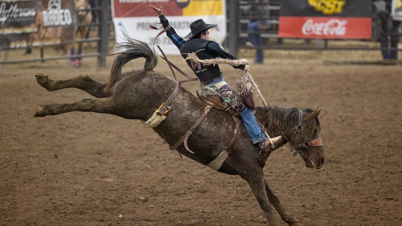 Team Csi Rodeo CSI Cowboys still in the hunt midway through the third round - College ...