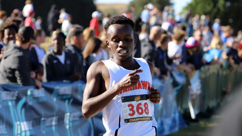 Luke Kocer Koech Races to Freshman of the Year, Men's Cross Country Snags Top-Five ...