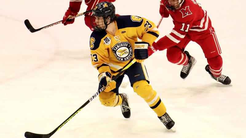 Miami University Rink Field Map Hockey Defeated by Miami on Pink the Rink Night - Canisius University ...
