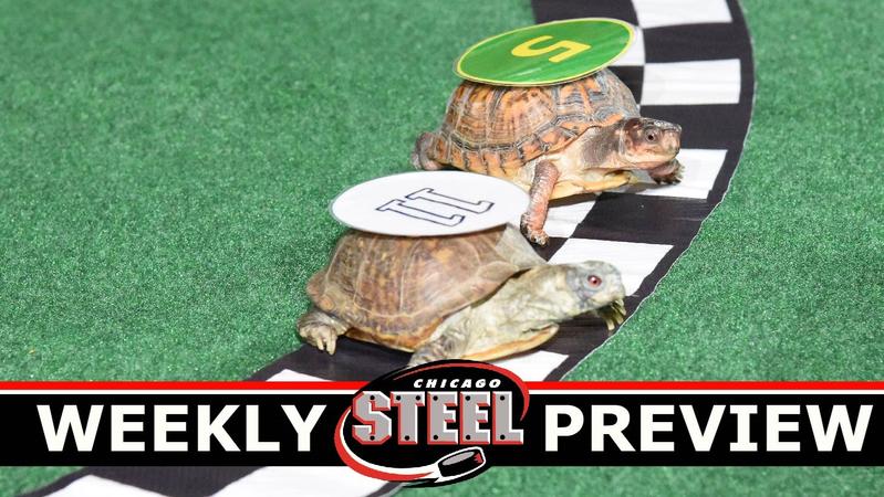 OPENING NIGHT AND TURTLE RACES THIS SATURDAY - Chicago Steel