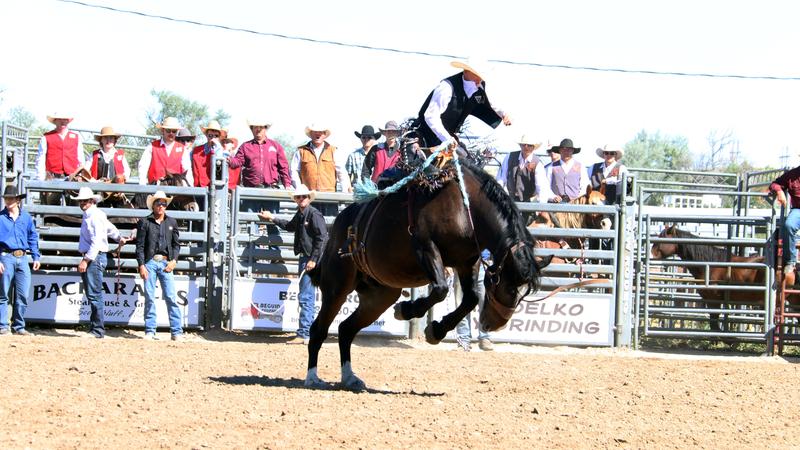 Cadogan Rodeo Five CSC entries place high at their rodeo - Chadron State College ...