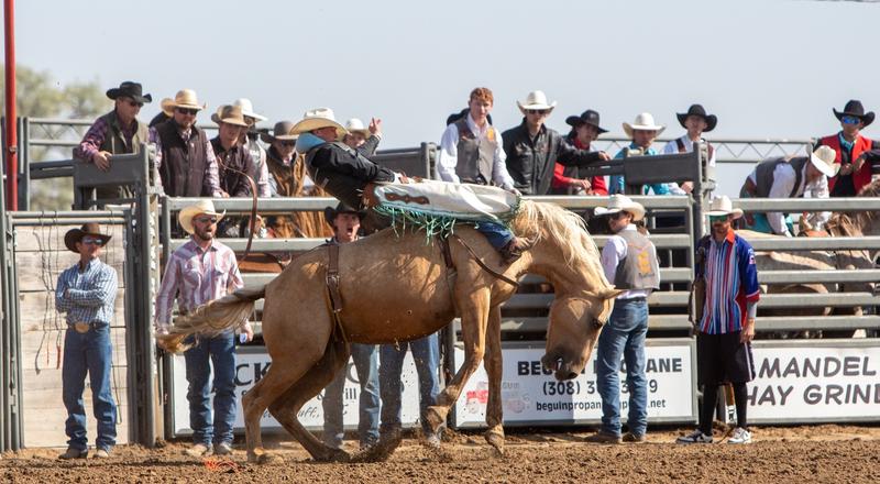 Csha Rodeo CSC Rodeo Schedule Resumes This Weekend - Chadron State College Athletics