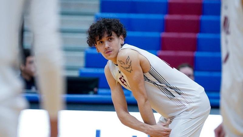 Vincent Ranieri FDU Defeated by Daemen in Three Sets - FDU Knights Athletics