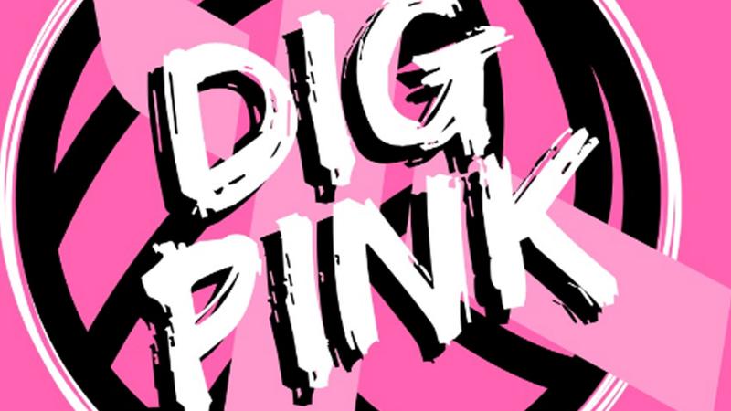 Dig Pink Card CU Athletics Set to Host Annual Dig Pink Cancer Awareness Game - Chowan ...