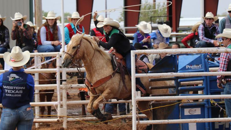 Three Barrel Preview: Eastern New Mexico heads to Texas Tech for final ...