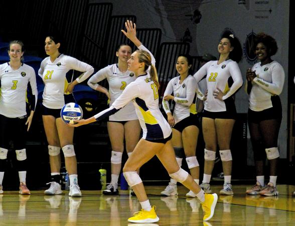Taylah Rice Taylor named Player of the Year;Houston earns Coach of the Year ...