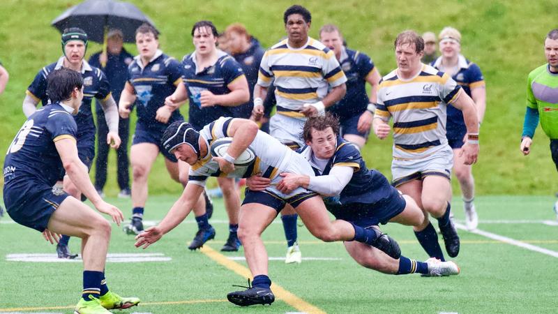 Tbc Rugby Stand T-Birds fall to Golden Bears in rain-soaked World Cup matchup ...