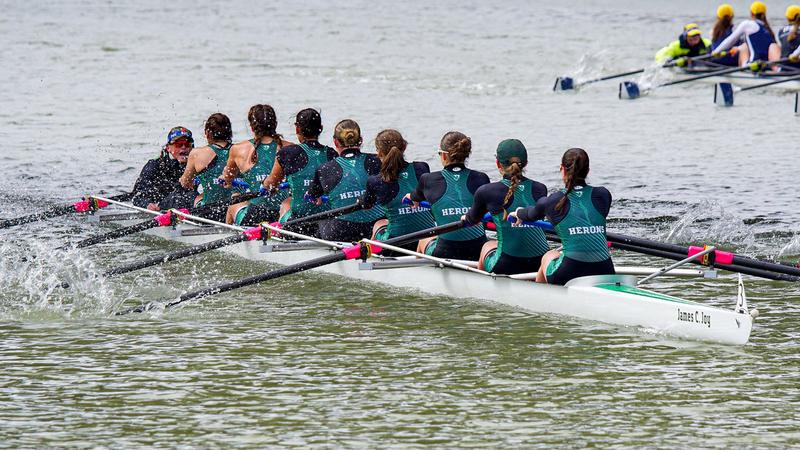 Wildcat Rowing Herons move up to #7 CRCA poll - Hobart and William Smith Colleges ...
