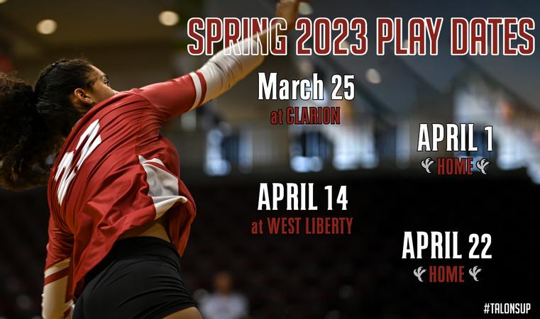 Iup Spring IUP volleyball announces spring dates, summer camps - Indiana ...
