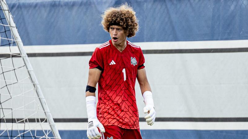 SEMIFINAL SMACKDOWN: Top-seeded Madison College rolls through Elgin to ...