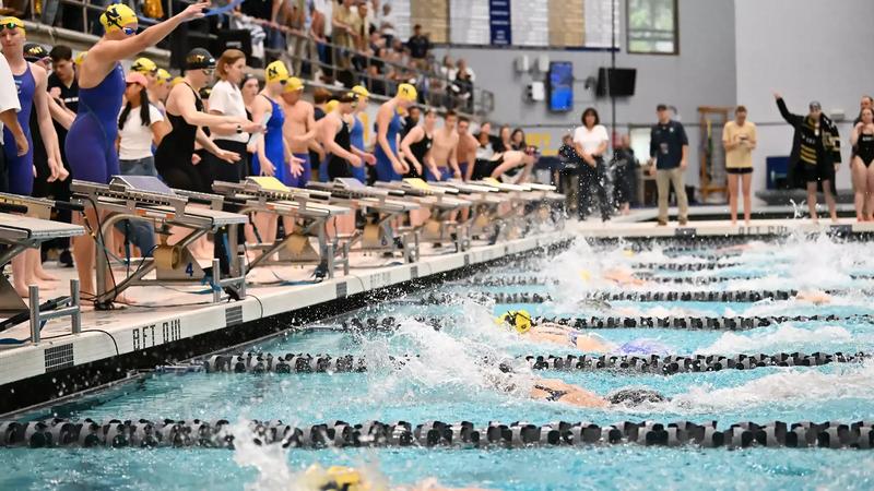 Pool Comp Navy Navy to Compete in ECAC Swimming and Diving Championship - Naval ...
