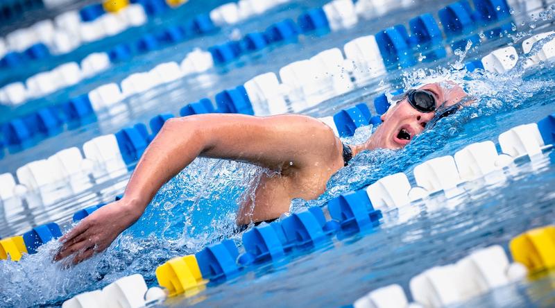 Sharks Return Home from Indian River and Keiser - Nova Southeastern ...