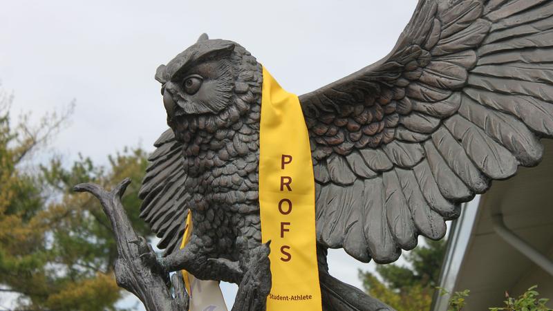 Rowan Prof Over 300 Profs Recognized as Rowan Scholar-Athletes of Distinction and ...