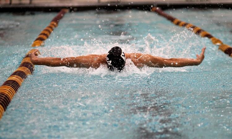 Strify Swimming Men's swimming and diving opens season at St. Thomas Relays - St. Olaf ...